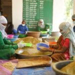 डोंगनाला का हरिबोल स्वयं सहायता समूह बना महिला सशक्तिकरण का प्रेरक मॉडल