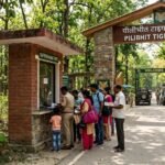 टाइगर रिजर्व में बढ़े टिकट के दाम, विदेशी पर्यटकों को अब देने होंगे 1000 रुपये